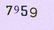 Visual Confirmation Security Code