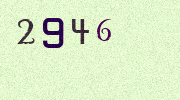 Visual Confirmation Security Code