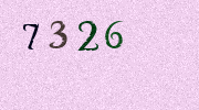 Visual Confirmation Security Code