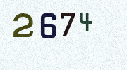 Visual Confirmation Security Code