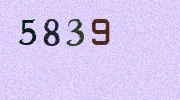 Visual Confirmation Security Code