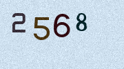 Visual Confirmation Security Code