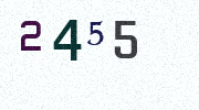 Visual Confirmation Security Code