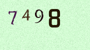 Visual Confirmation Security Code