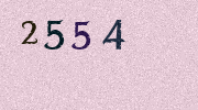 Visual Confirmation Security Code