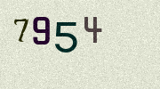 Visual Confirmation Security Code