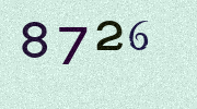 Visual Confirmation Security Code