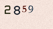 Visual Confirmation Security Code
