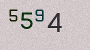 Visual Confirmation Security Code
