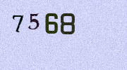 Visual Confirmation Security Code