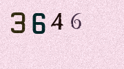 Visual Confirmation Security Code