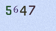 Visual Confirmation Security Code