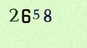 Visual Confirmation Security Code