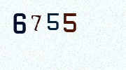 Visual Confirmation Security Code
