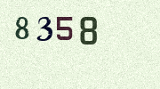 Visual Confirmation Security Code