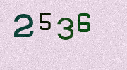 Visual Confirmation Security Code