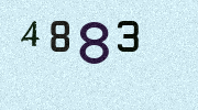 Visual Confirmation Security Code