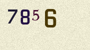 Visual Confirmation Security Code