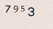 Visual Confirmation Security Code