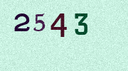 Visual Confirmation Security Code