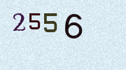 Visual Confirmation Security Code