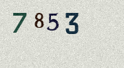 Visual Confirmation Security Code