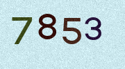 Visual Confirmation Security Code