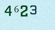 Visual Confirmation Security Code