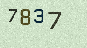 Visual Confirmation Security Code