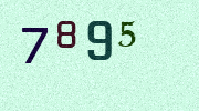 Visual Confirmation Security Code