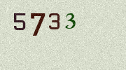 Visual Confirmation Security Code