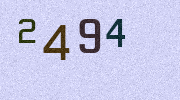 Visual Confirmation Security Code