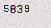 Visual Confirmation Security Code