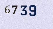 Visual Confirmation Security Code