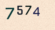 Visual Confirmation Security Code