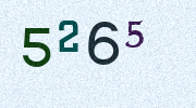 Visual Confirmation Security Code