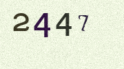 Visual Confirmation Security Code
