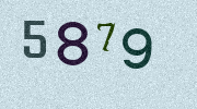 Visual Confirmation Security Code