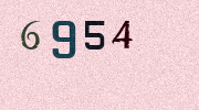 Visual Confirmation Security Code