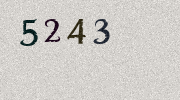 Visual Confirmation Security Code