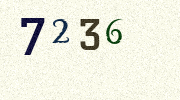 Visual Confirmation Security Code