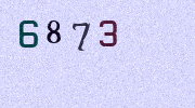 Visual Confirmation Security Code