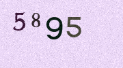 Visual Confirmation Security Code