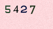 Visual Confirmation Security Code