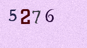 Visual Confirmation Security Code