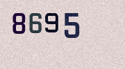 Visual Confirmation Security Code