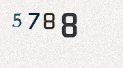 Visual Confirmation Security Code