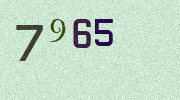Visual Confirmation Security Code
