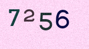 Visual Confirmation Security Code