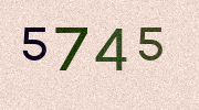 Visual Confirmation Security Code